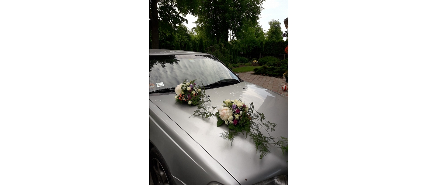 Цветы Елгава