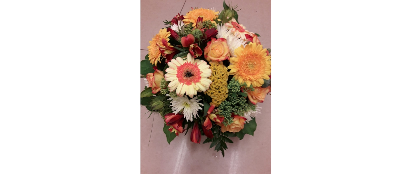 Цветы Елгава