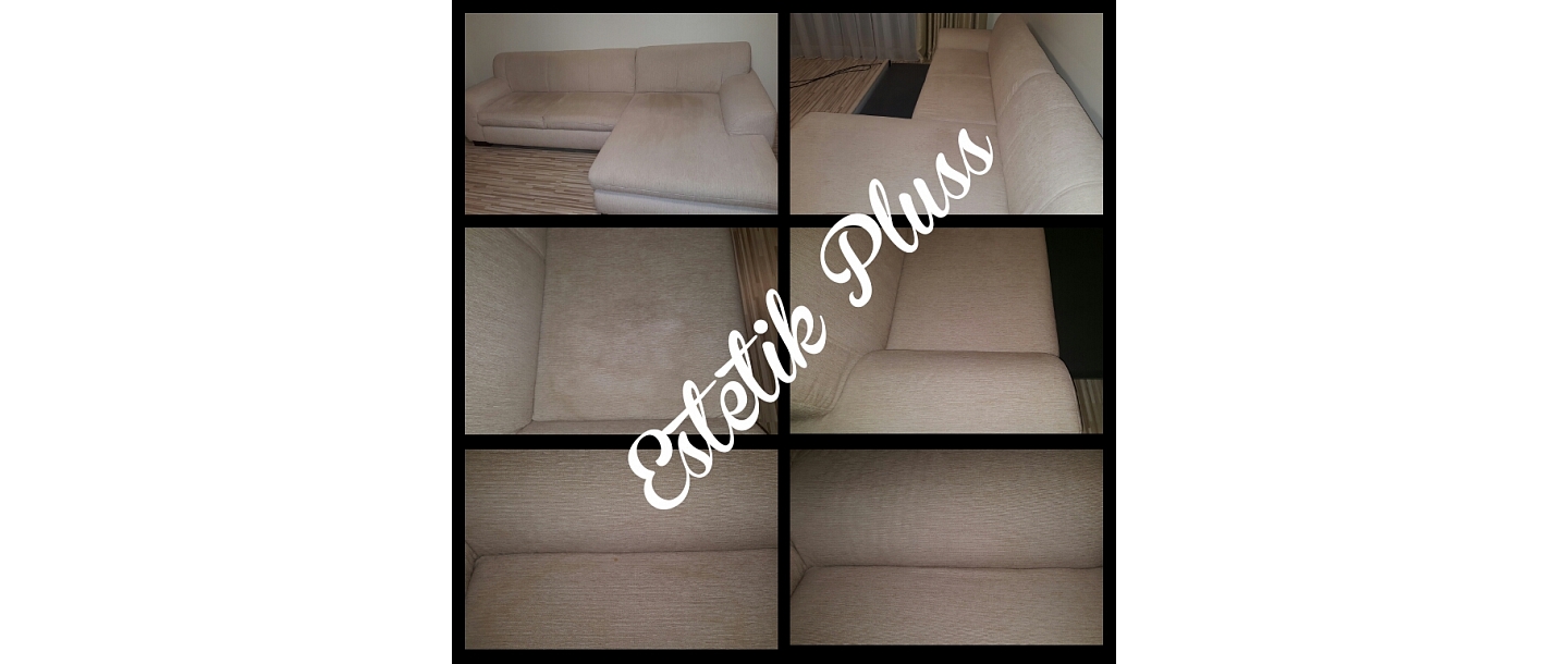 Couch dry cleaning, cleaning services