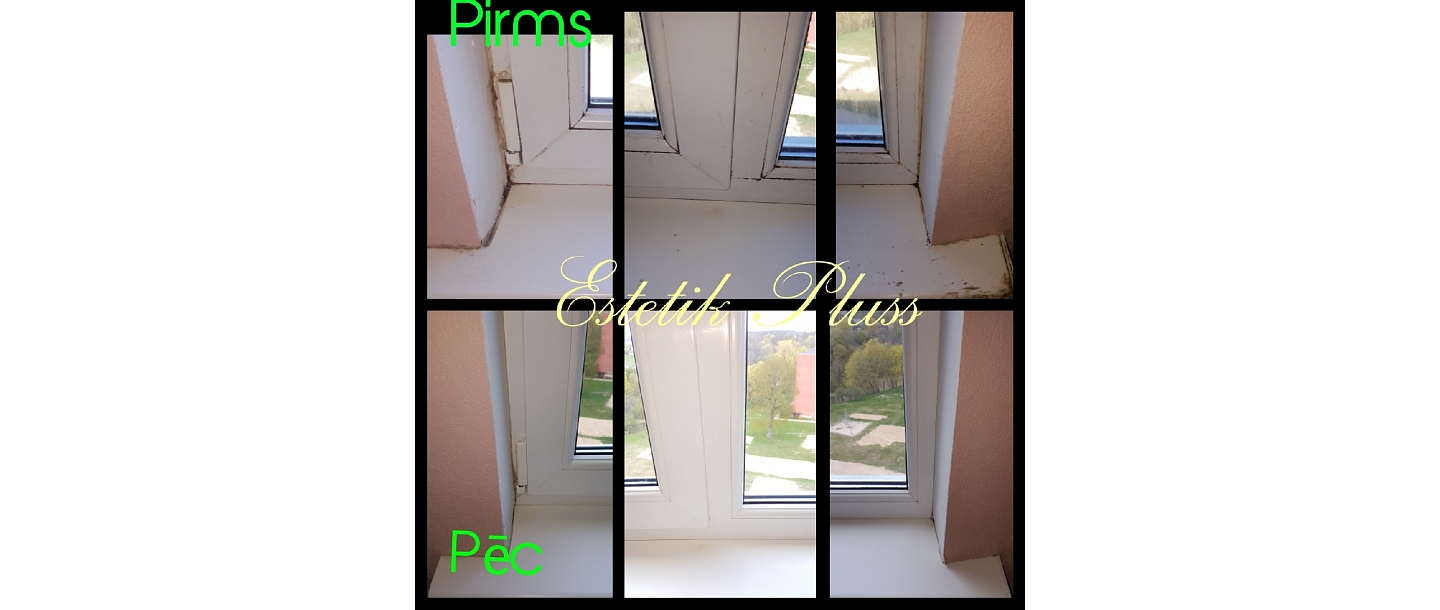 General cleaning of windows by tenants