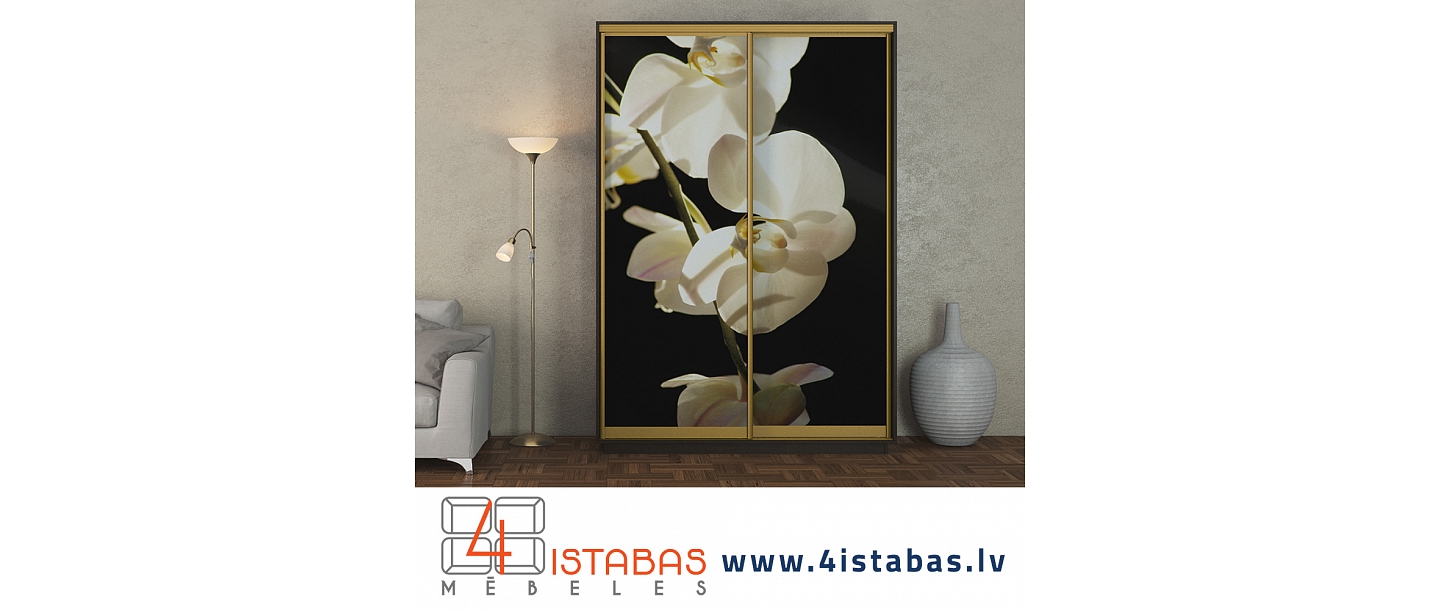 Closet with sliding doors, wardrobe with photo wallpaper, furniture online store Latvia Riga Zemgale Kurzeme