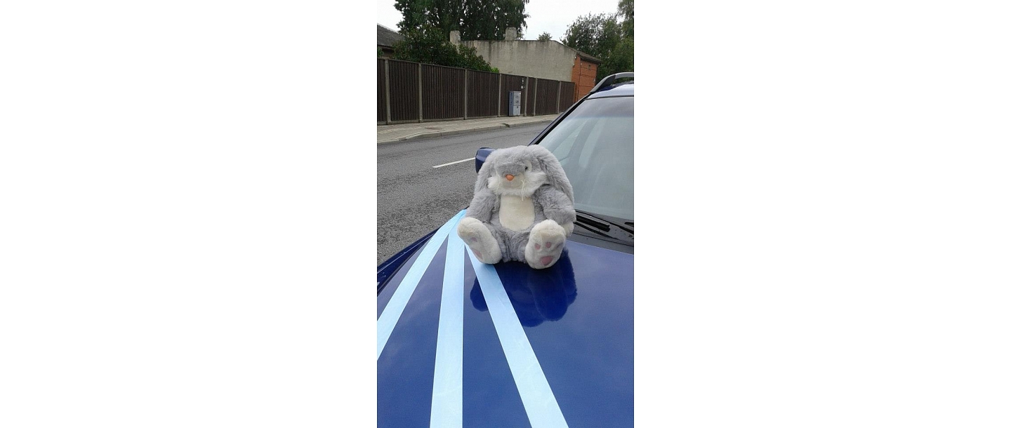 Организация мероприятий, атрибутика, торговля цветами, флористика