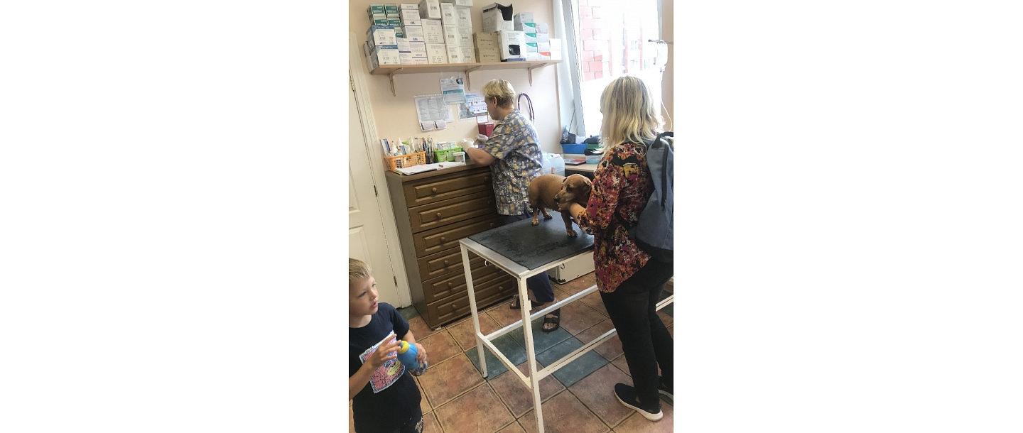 Sloka Veterinary Clinic