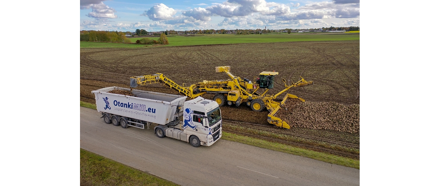 Harvesting sugar beets, loading, carriage