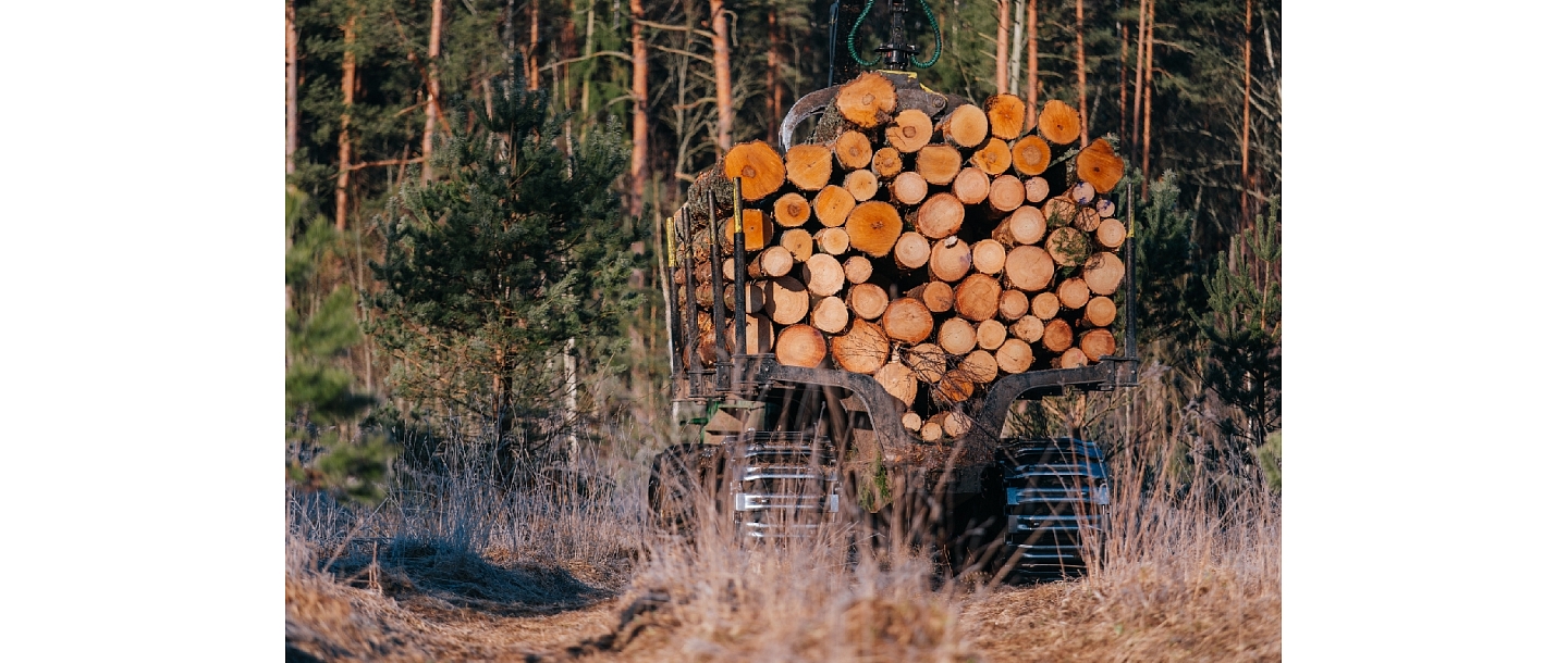 Buying of felling sites