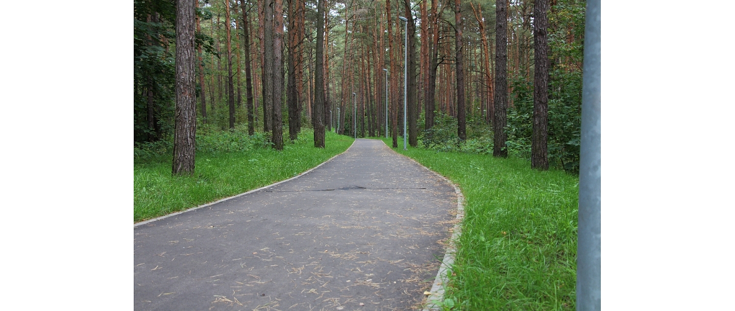 Asphalt-paving works