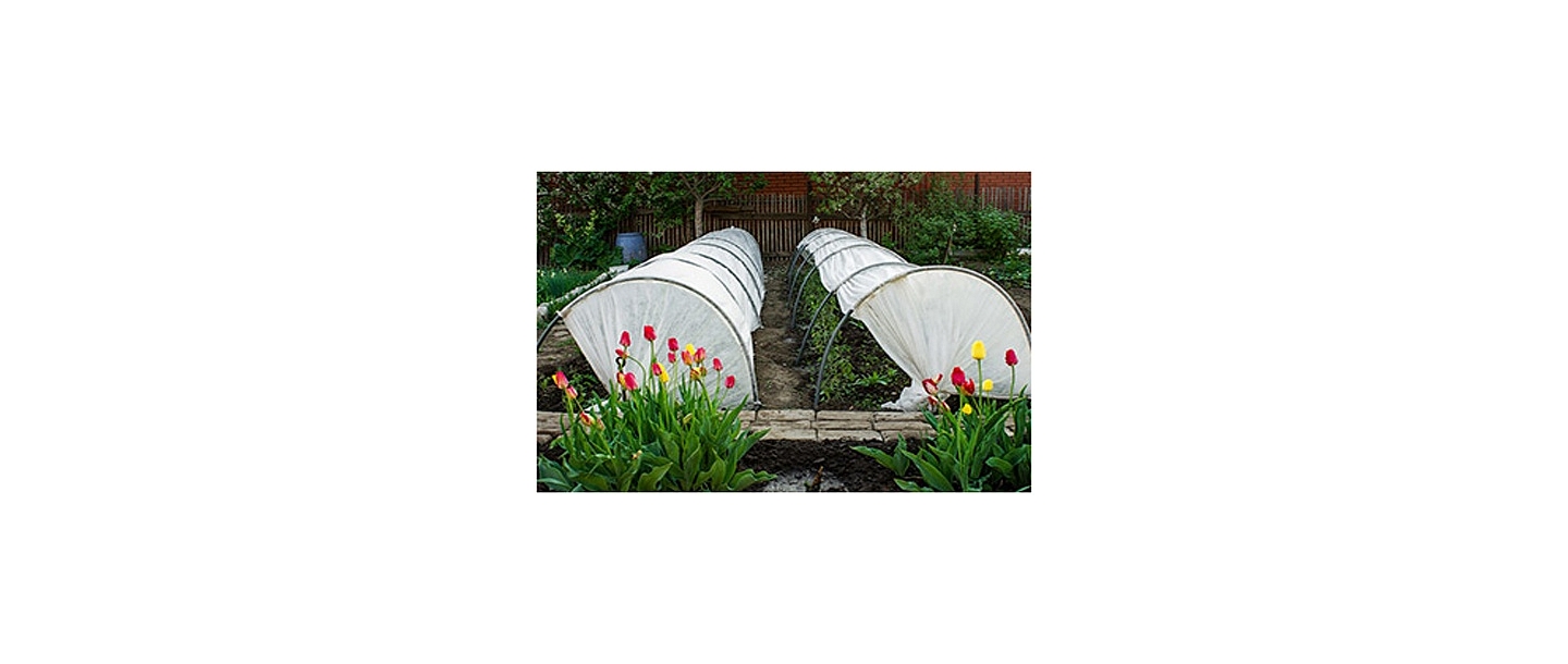 Пленка для теплиц