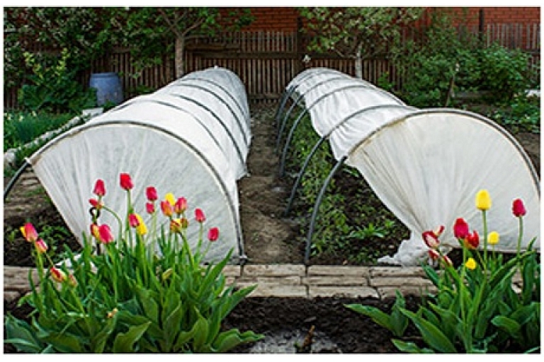 Пленка для теплиц