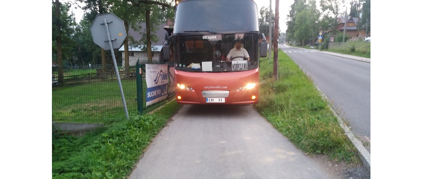 Passenger transportation, car rental