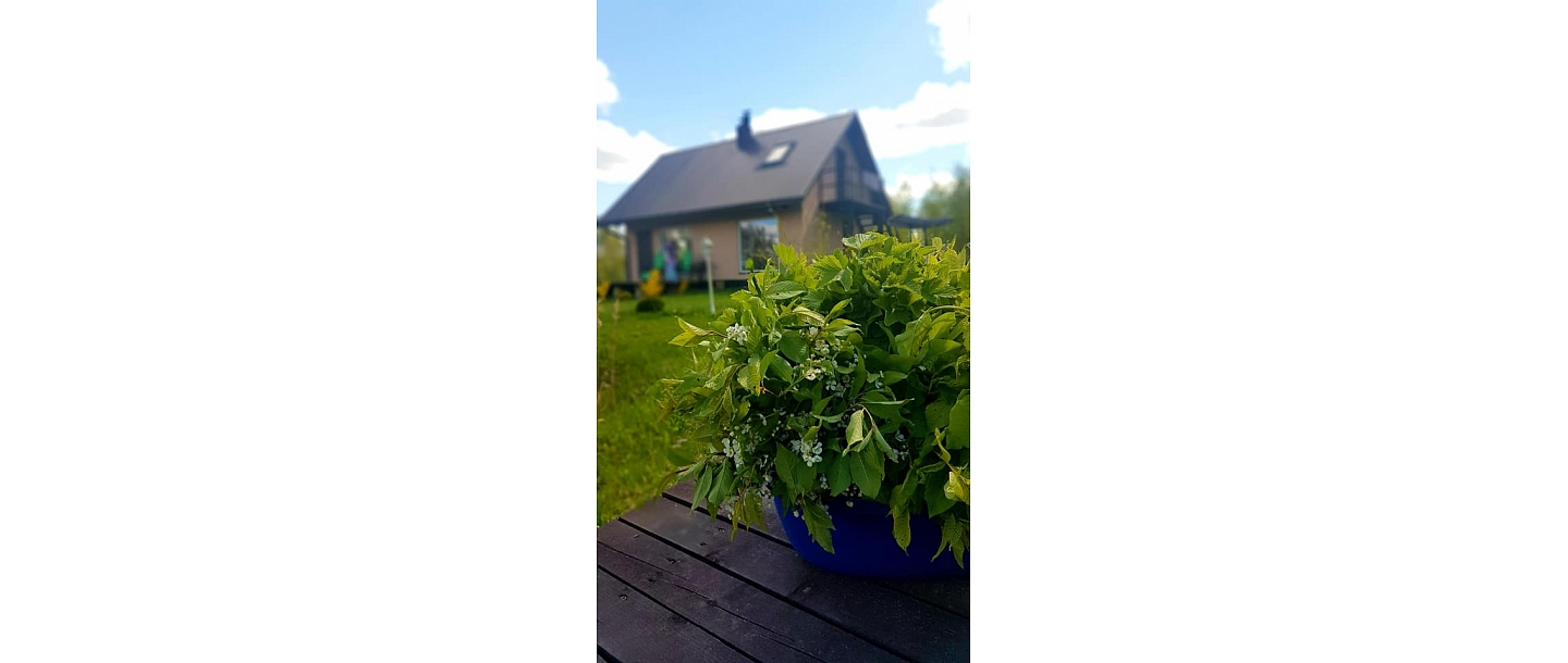 Great sauna, guest house "Beetles"