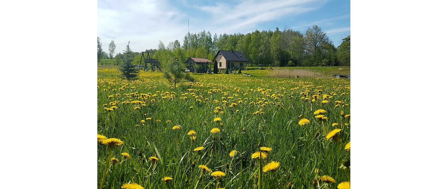 Great sauna, guest house "Beetles"