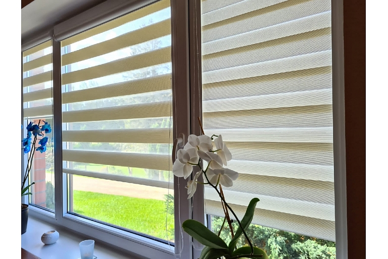 Blinds