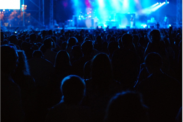 Concert security