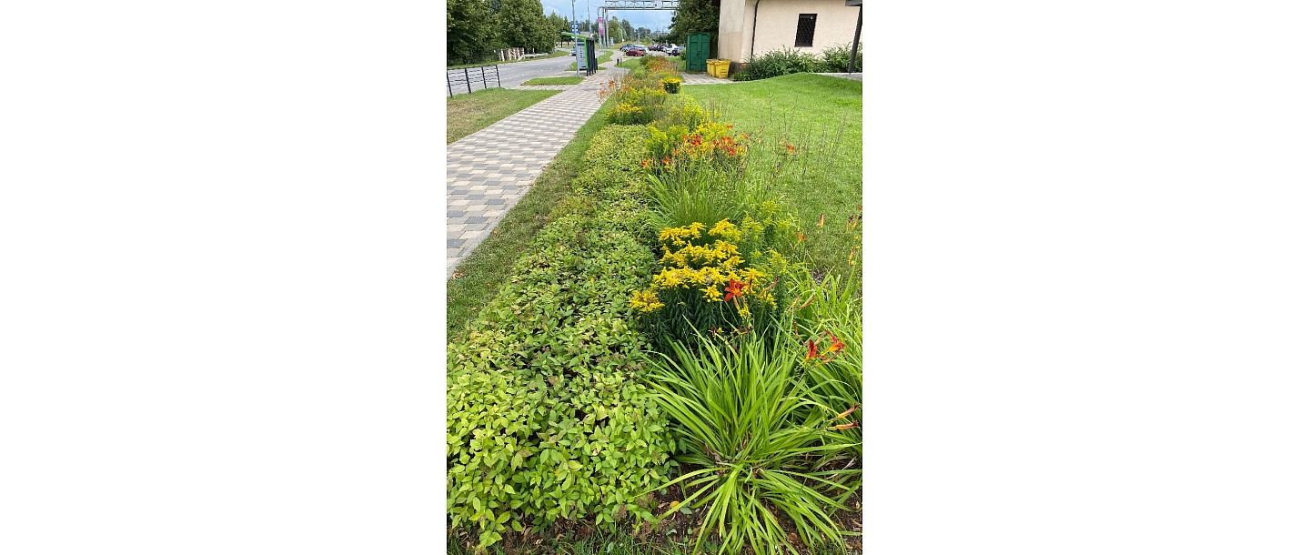 Alejas projekti, SIA