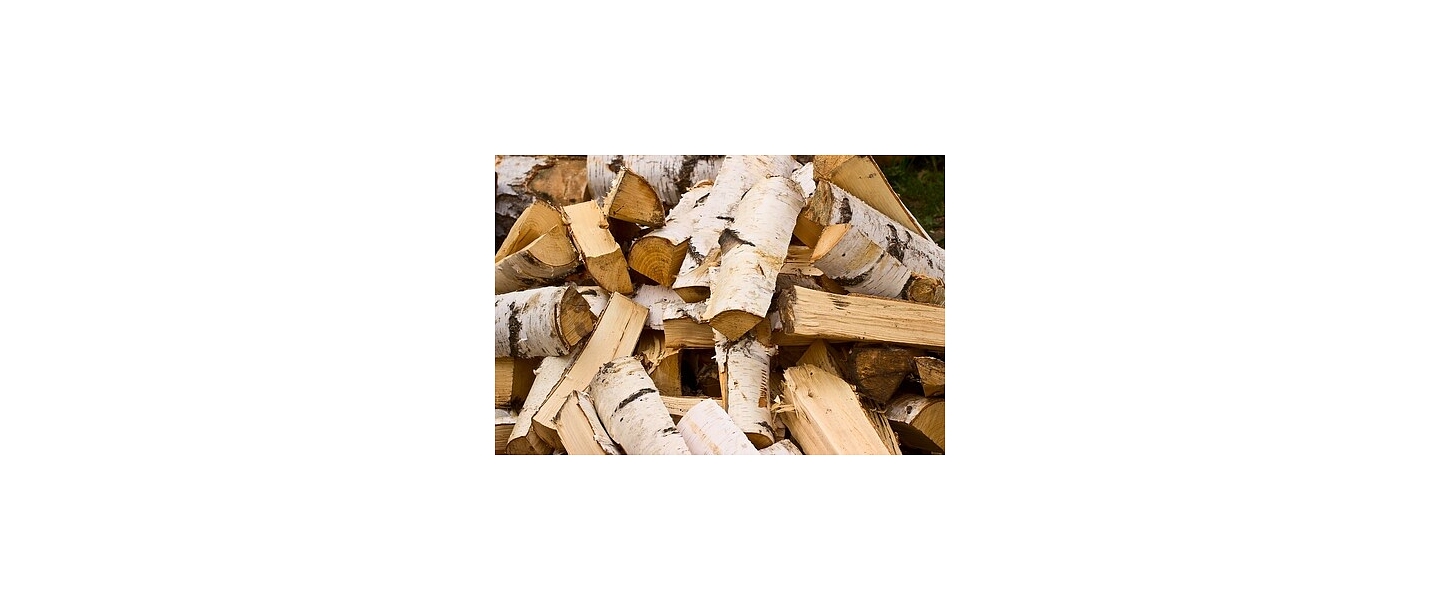 Birch wood