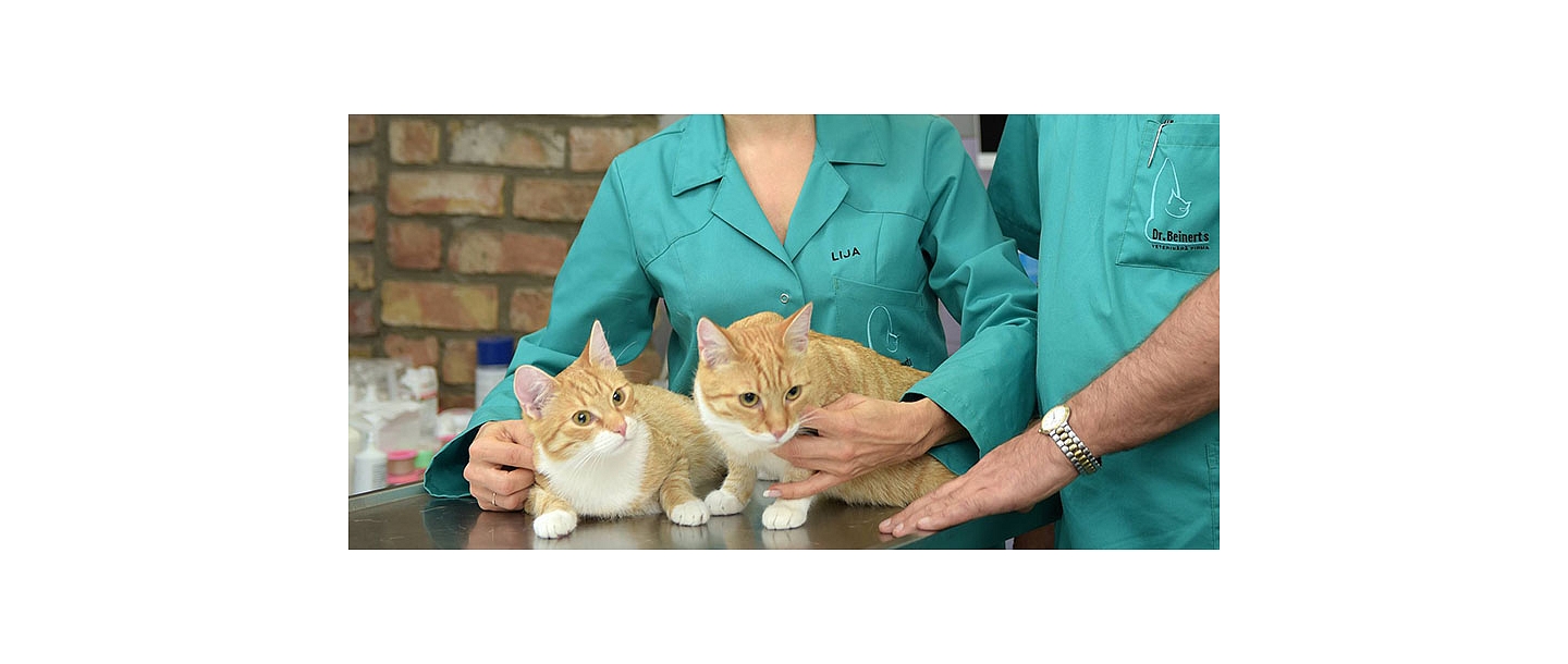 Hospital for animals Beinert Clinic