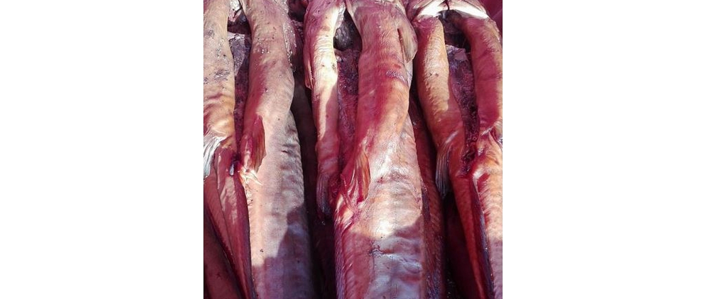 Smoked meat and fish, delivery