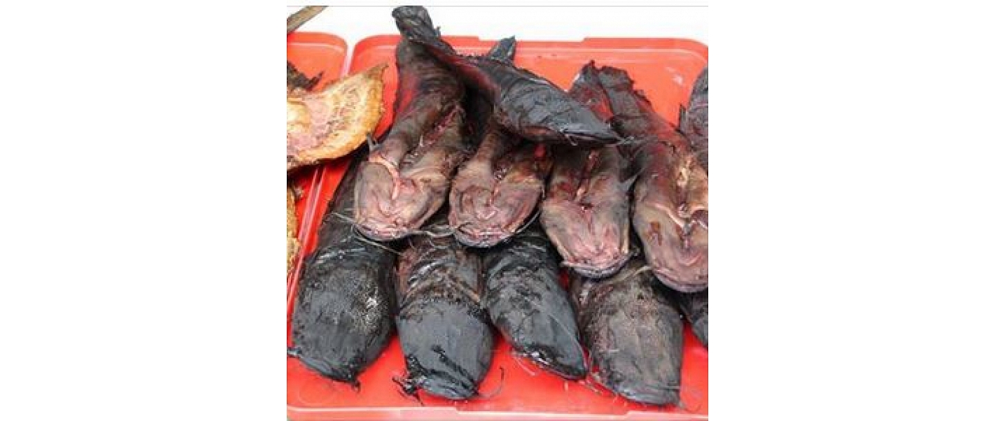 Smoked fish