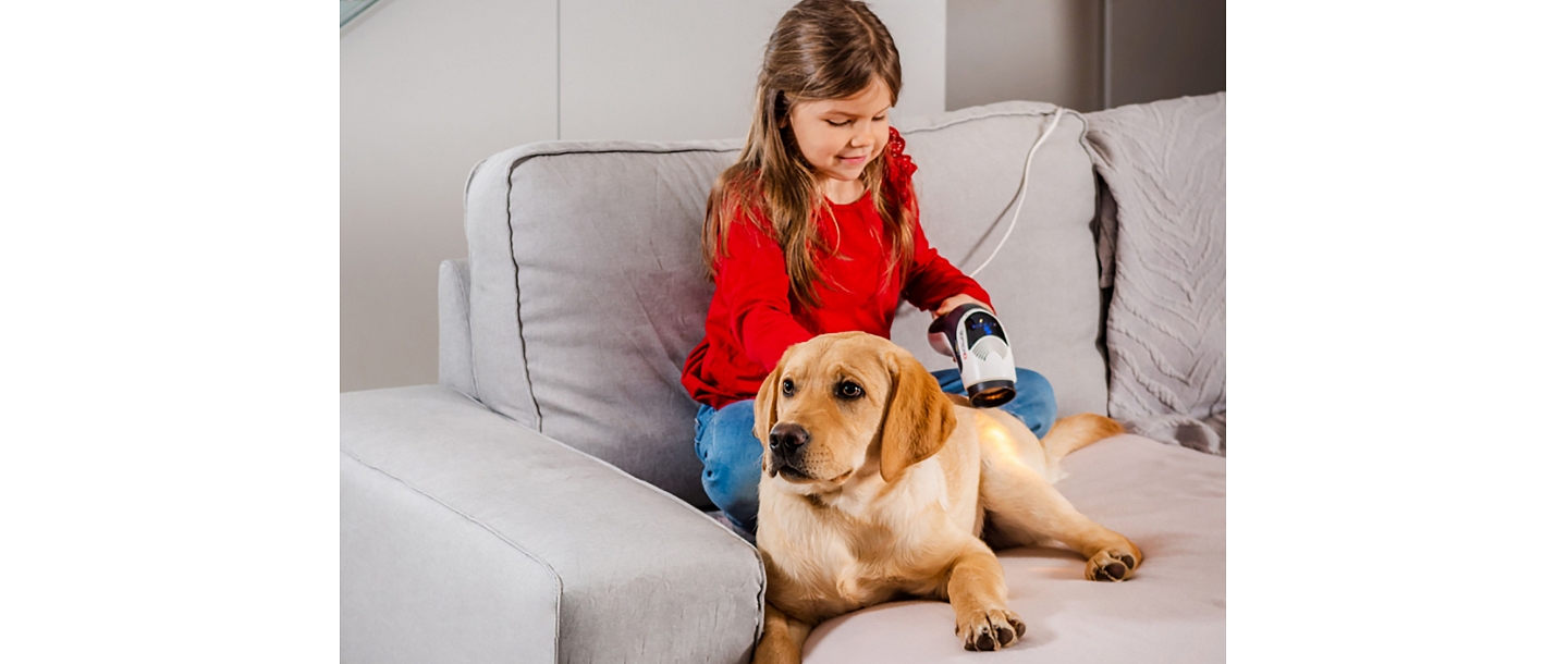 BIOPTRON reduces the feeling of pain in your pets