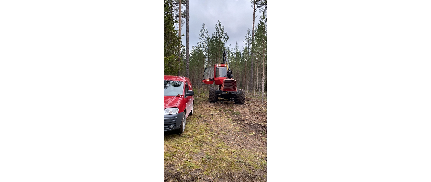 Гнезда Эй Джей, ООО