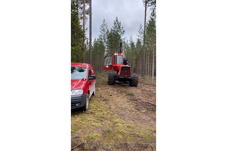 Гнезда Эй Джей, ООО