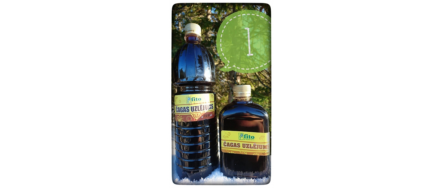 Chaga infusion FITO