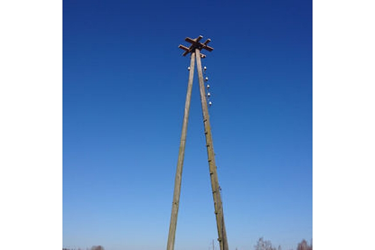 Arboriculture services