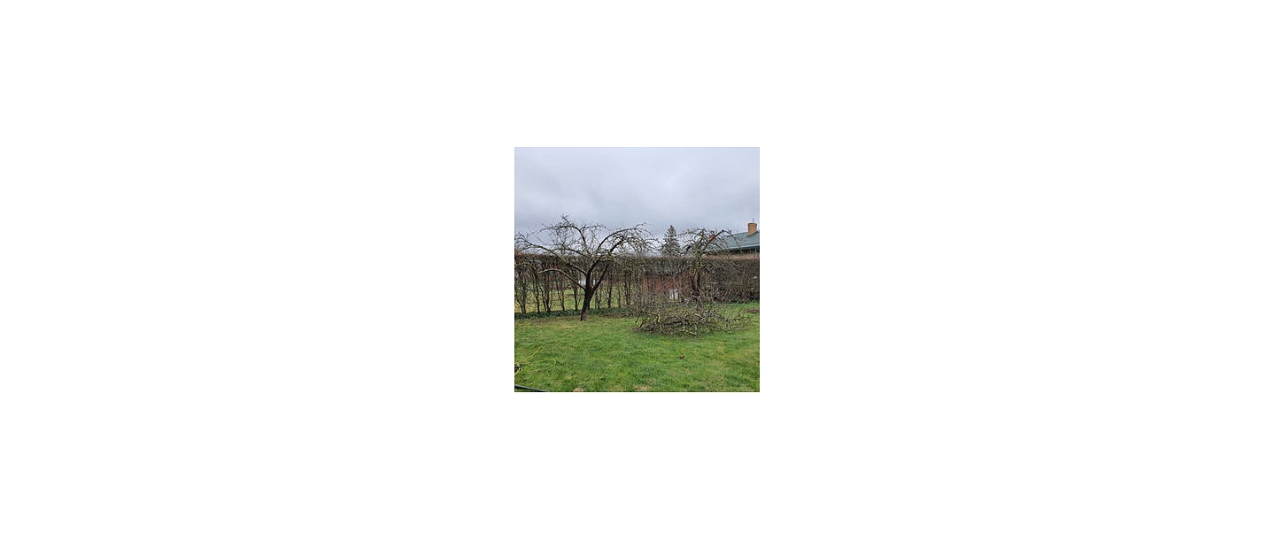 Removing dangerous branches