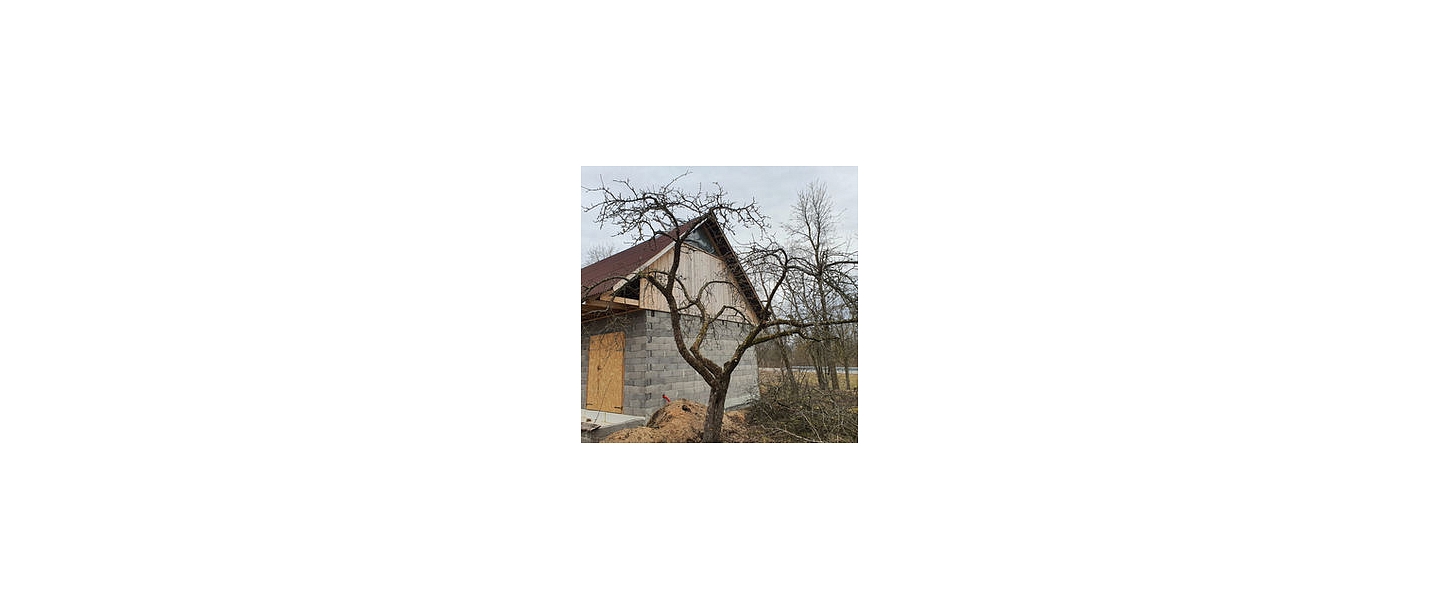 Услуги арбаристов