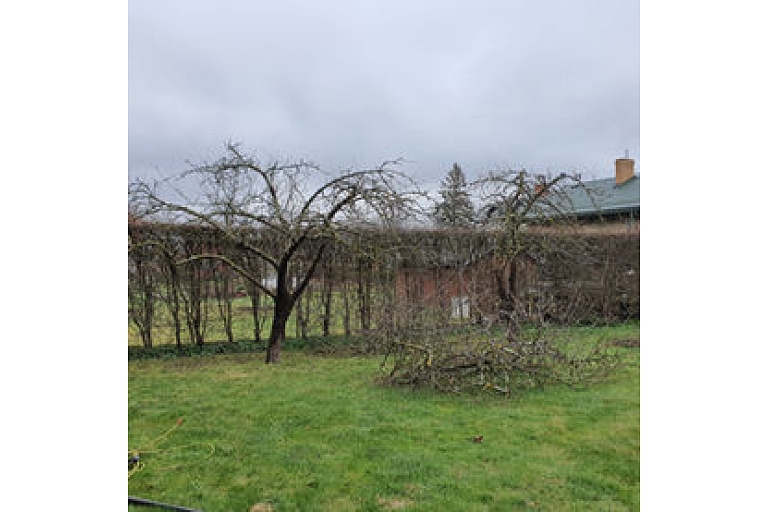 Removing dangerous branches