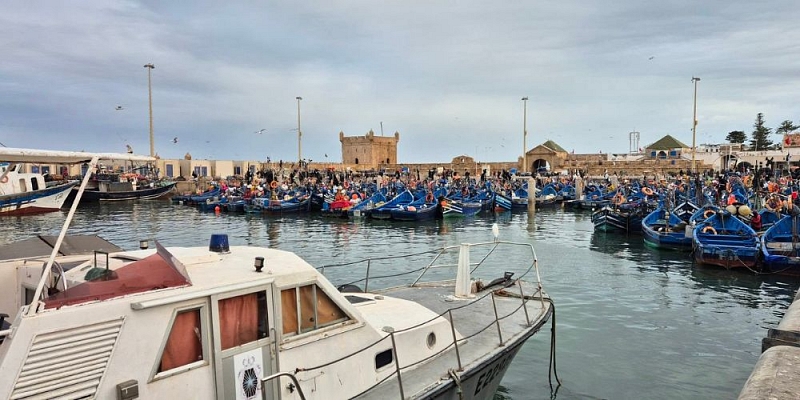 Travel for collectives