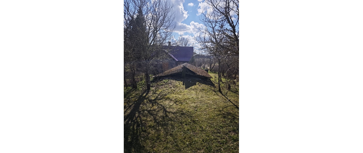 Roof sheets