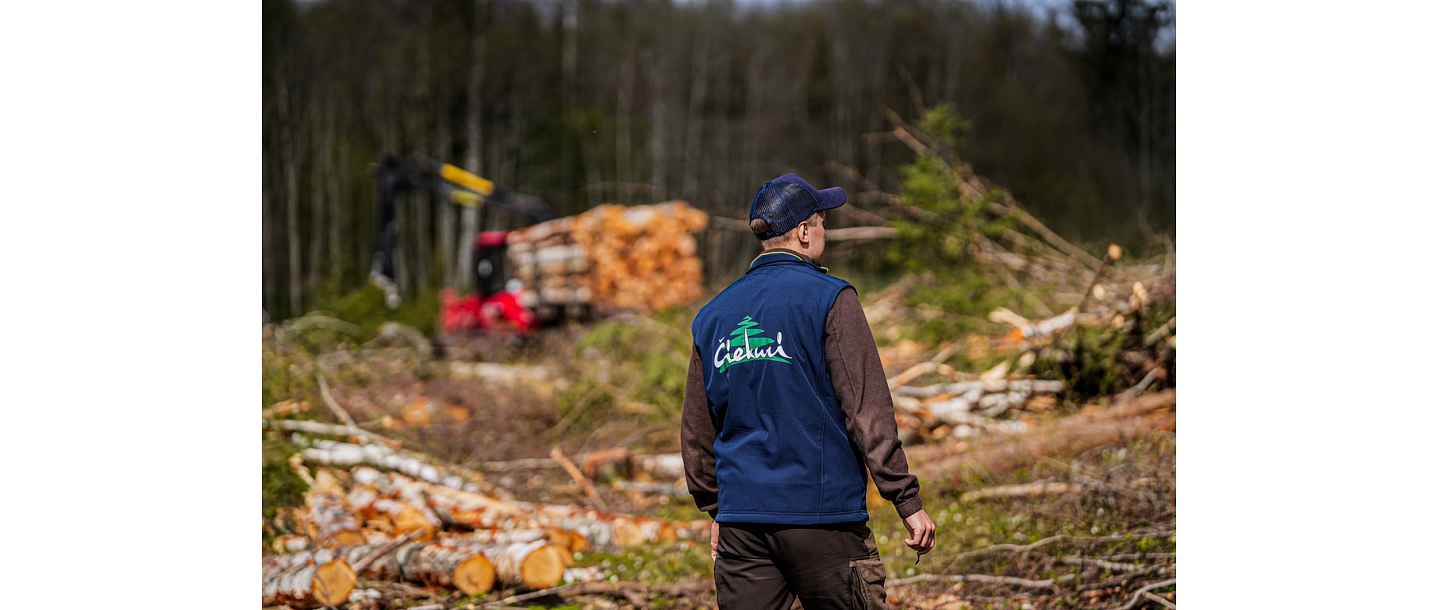 Purchase of forest property