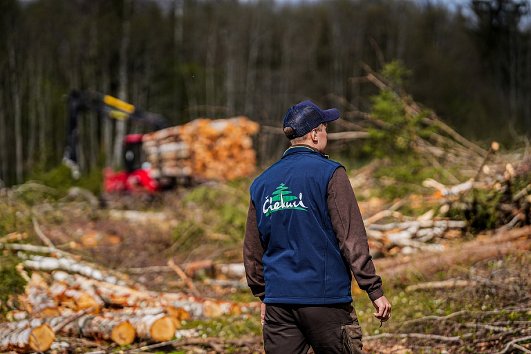 Purchase of forest property