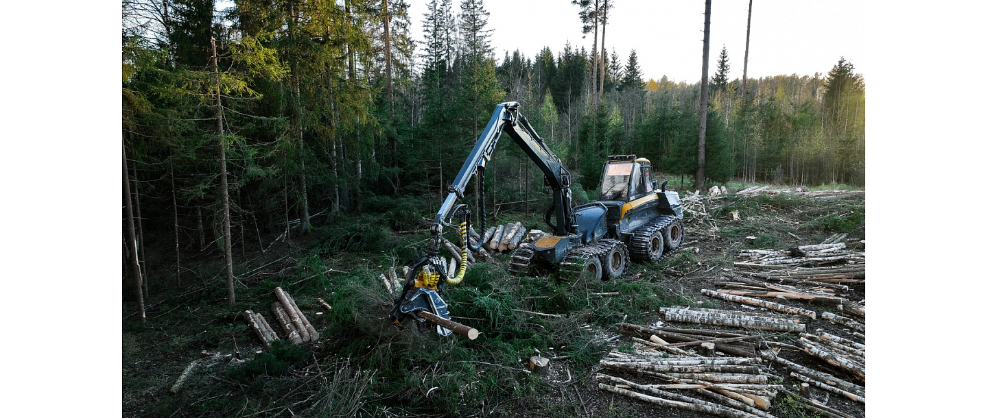 Logging