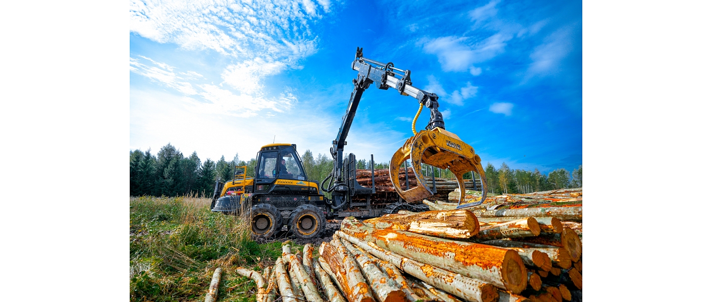 Transportation of trees