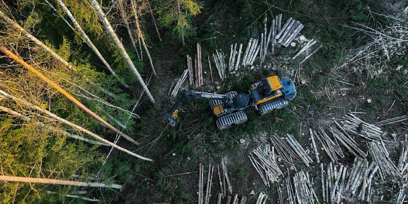 Forest administration