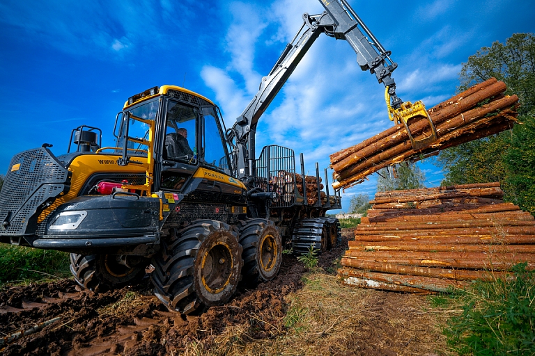 Forest management