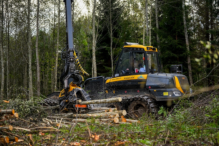 Wood-felling areas