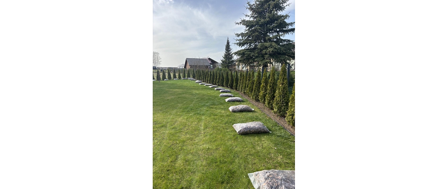 Dārza labiekārtošana