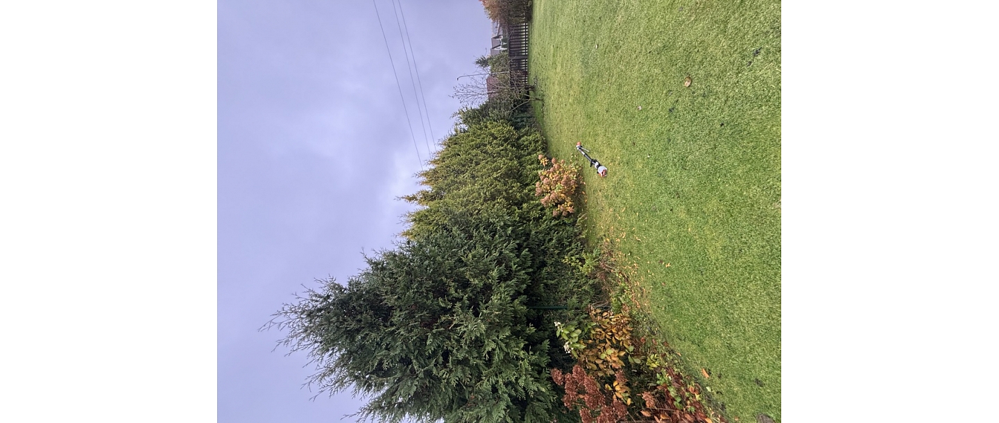 Благоустроенный двор