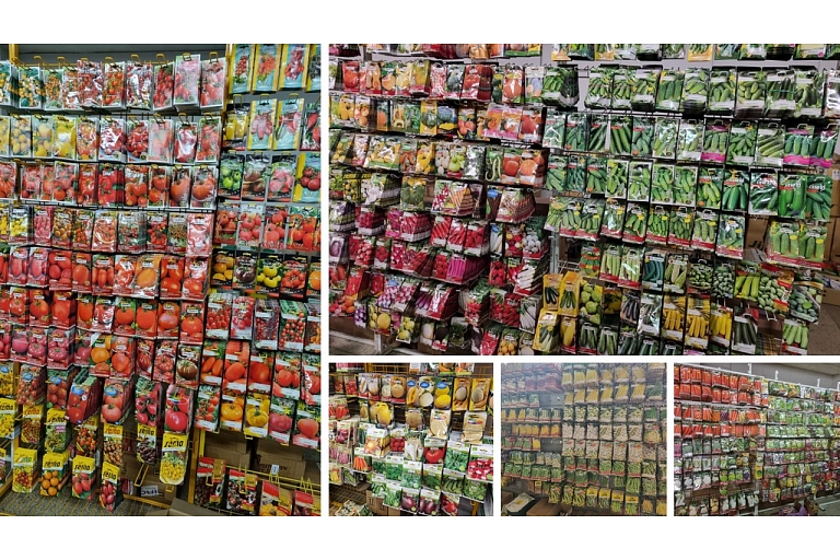 Vegetable seeds