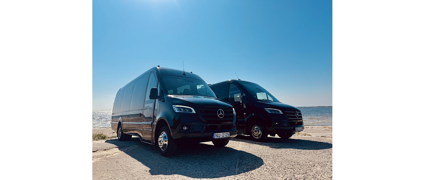 Various types of passenger transfers by car