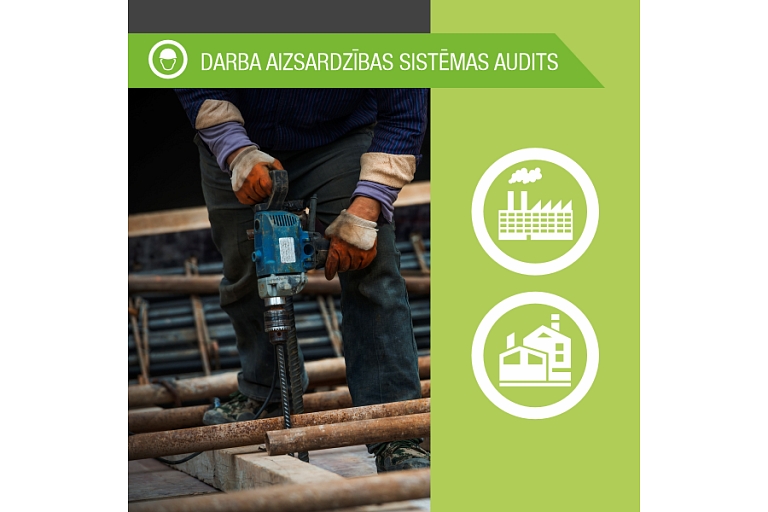 Occupational health and safety system audit