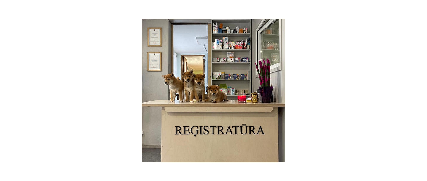 Veterinary clinic