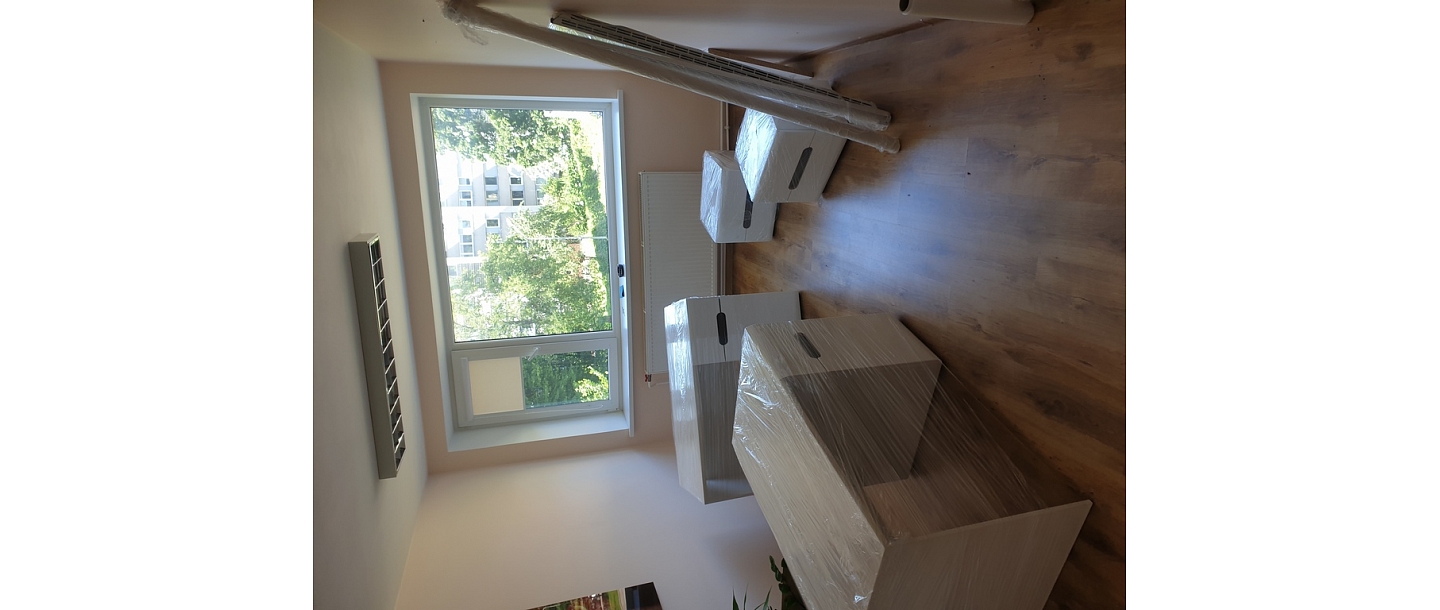 Moving services with careful packing of belongings