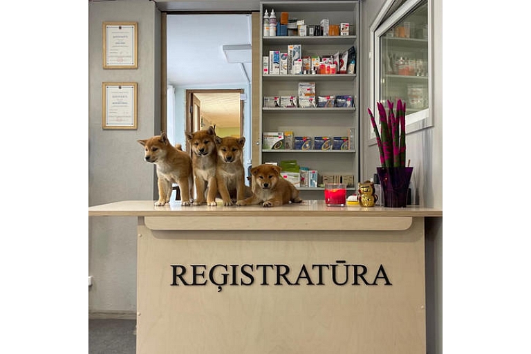 Veterinary clinic