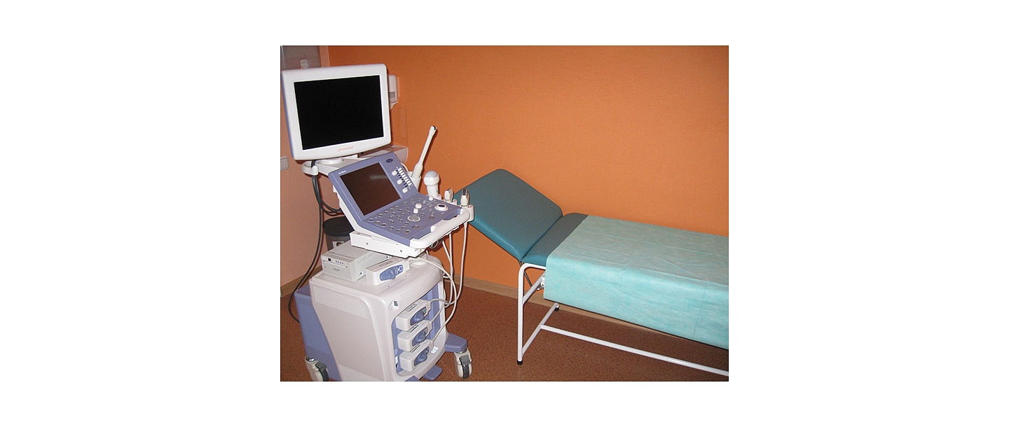 Ultrasonographic examination with  next generation ultrasonograph