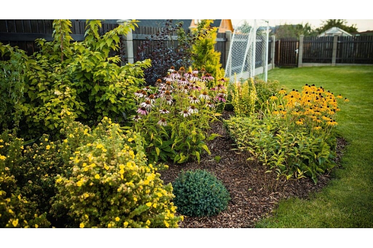 Mulched garden