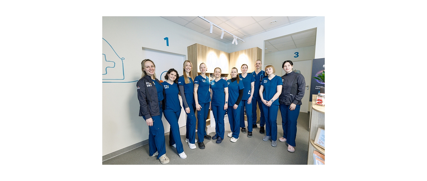 Dr. Team of VET professionals